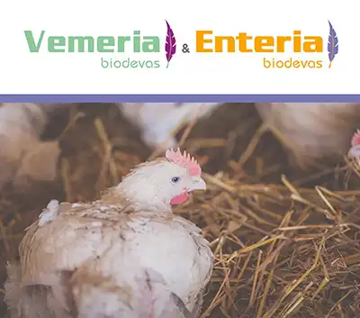 Vemeria and Enteria